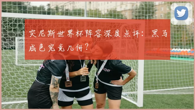 突尼斯世界杯阵容深度点评：黑马成色究竟几何？