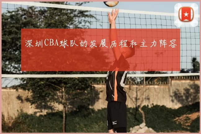 深圳CBA球队的发展历程和主力阵容