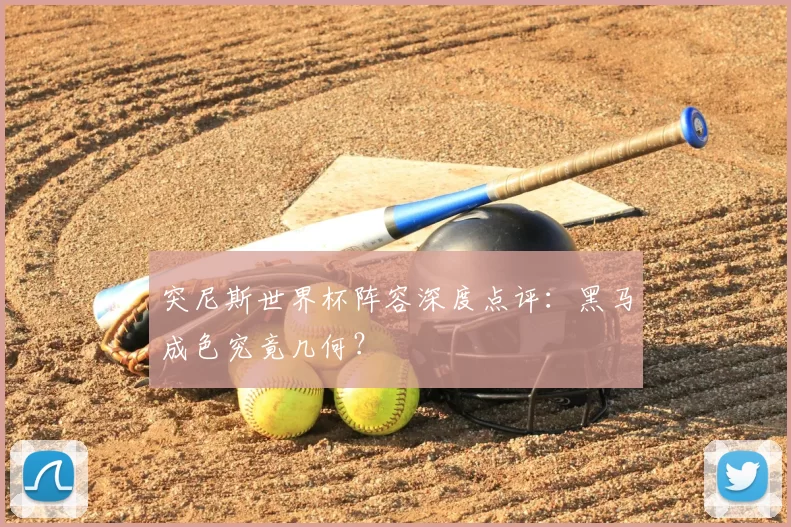 突尼斯世界杯阵容深度点评:黑马成色究竟几何?