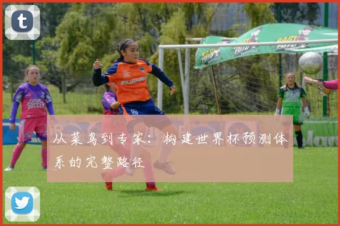 从菜鸟到专家：构建世界杯预测体系的完整路径