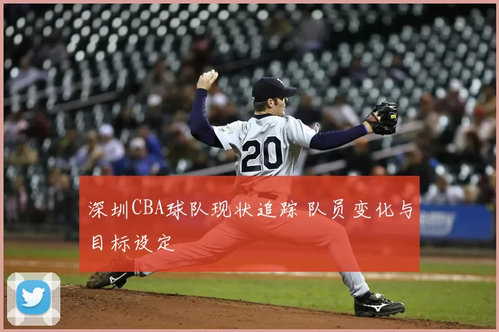 深圳CBA球队现状追踪 队员变化与目标设定