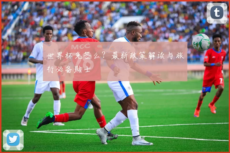 世界杯免签么?最新政策解读与旅行必备贴士