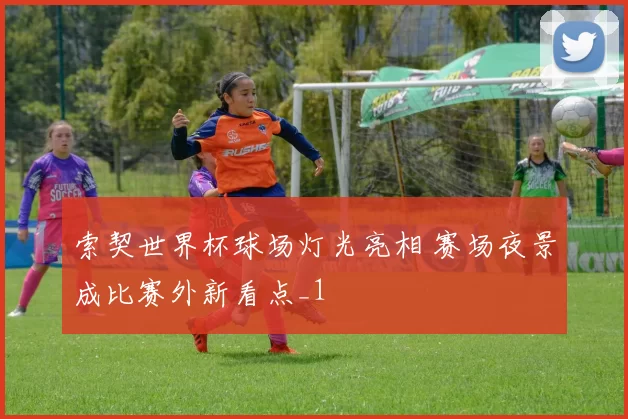 索契世界杯球场灯光亮相 赛场夜景成比赛外新看点_1
