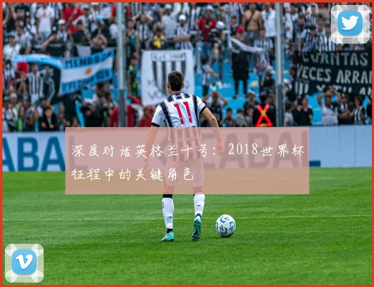 深度对话英格兰十号：2018世界杯征程中的关键角色